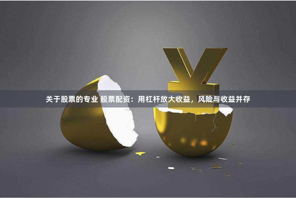 關(guān)于股票的專(zhuān)業(yè) 股票配資：用杠桿放大收益，風(fēng)險(xiǎn)與收益并存